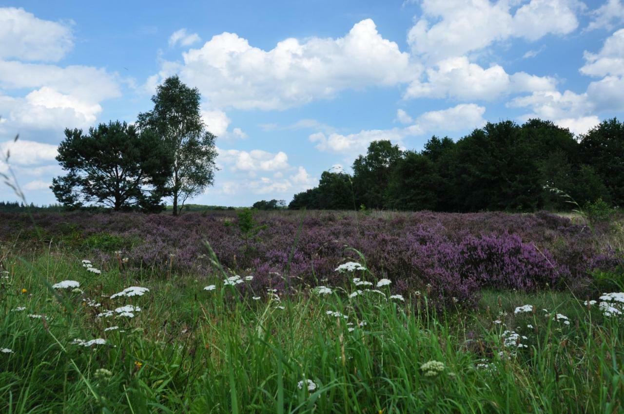 De Kleine Kriemelkuil Villa Ermelo Kültér fotó